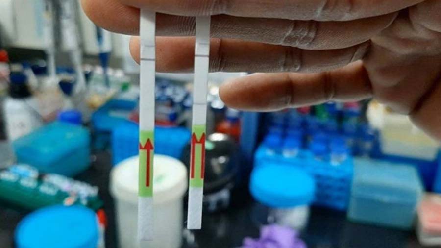 Um consórcio de dez laboratórios na Índia está sequenciando amostras de coronavírus — Foto: Reprodução/BBC News Brasil